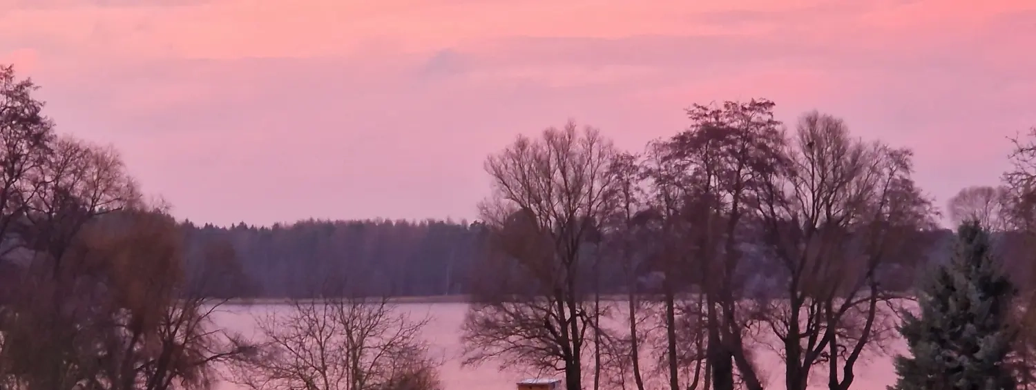 Sonnenuntergang Winterbäume von Eiscafé Floki
