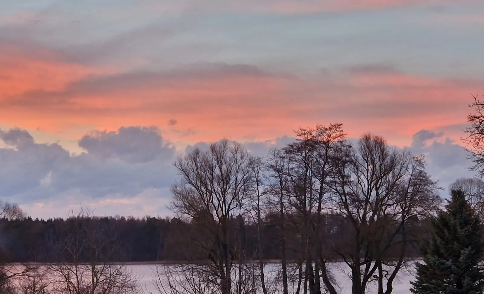 Sonnenuntergang Winterbäume von Eiscafé Floki